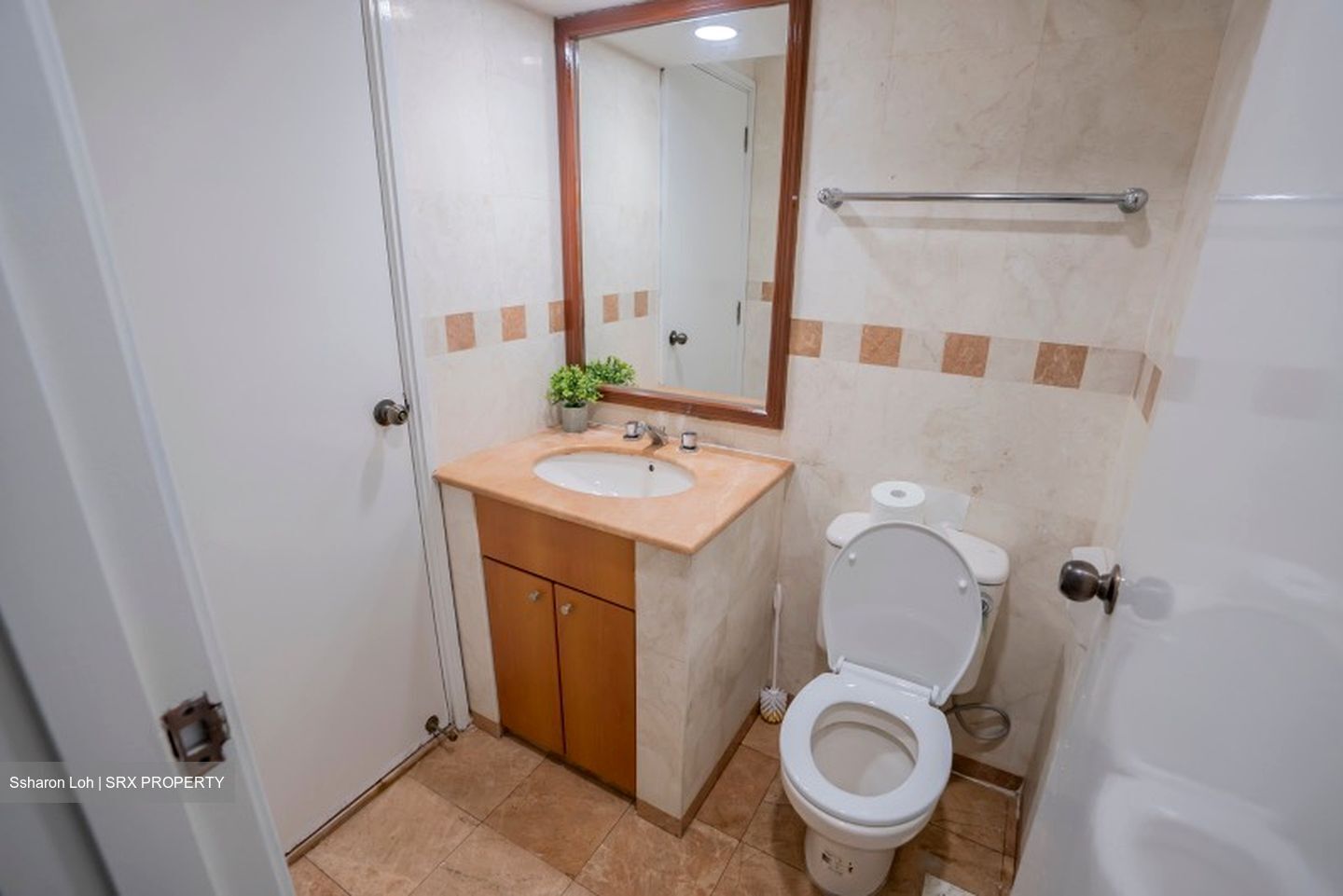 Evergreen Park (D19), Apartment #617125801